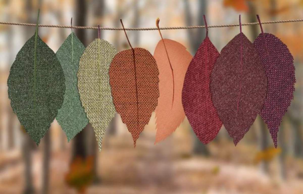 رنگ چری: انتخابی شیک و مدرن برای پاییز و زمستان